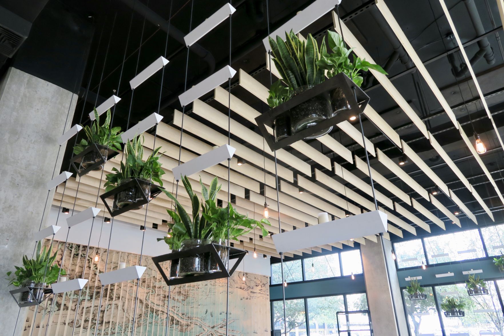 maypop_bar